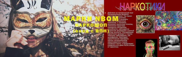 спиды Нея