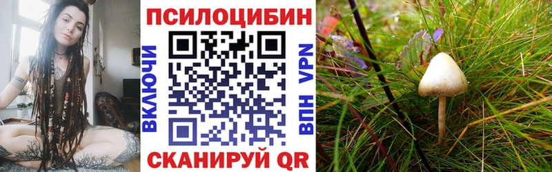 Галлюциногенные грибы MAGIC MUSHROOMS  Кызыл 